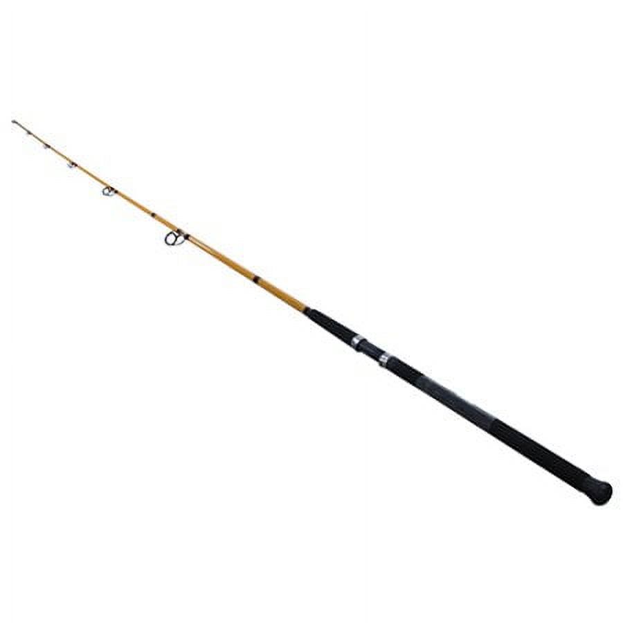FT Series Fiberglass Surf Spin - Fishing Rod Surf avaliação e preço